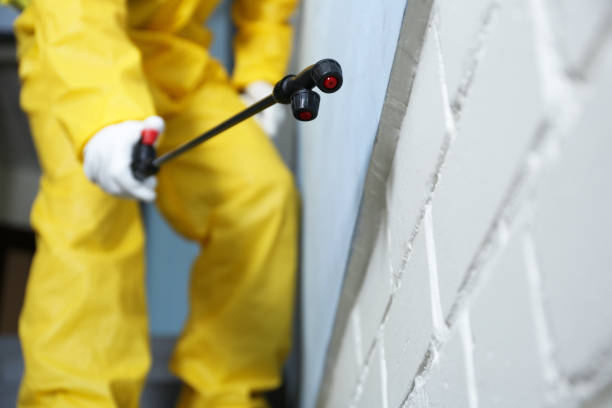 Real Estate Pest Inspections in Marietta, OK